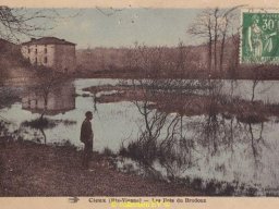 ilots du brudoux